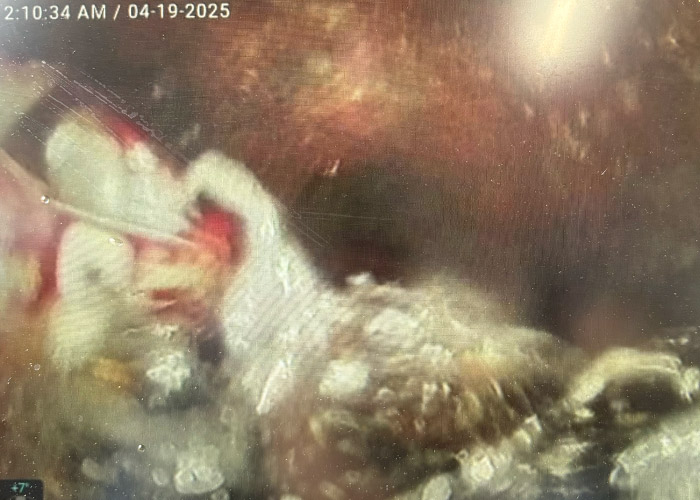 video inspection of drain